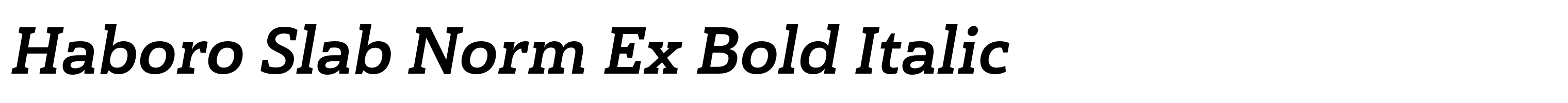 Haboro Slab Norm Ex Bold Italic